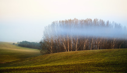 Fototapeta premium Field in morning lights