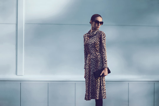Street fashion concept - pretty elegant woman in leopard dress a