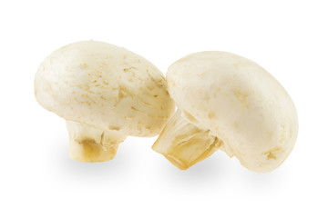 Two champignon on a white background