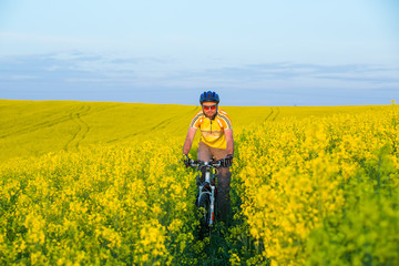 Mtb biker is cycling in yellow rapeseed field