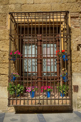 Fototapeta na wymiar Flowerpots window