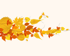 autumn leaves