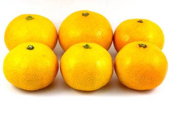 orange on white background