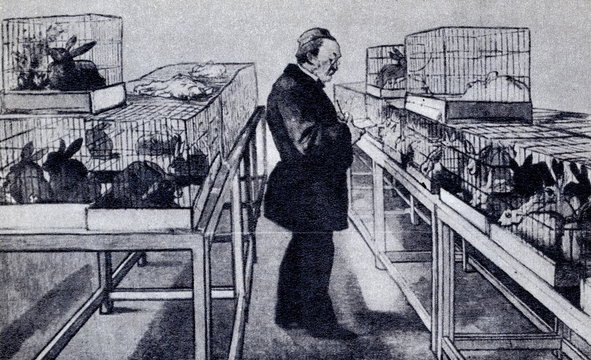 Louis Pasteur with his experimental animals 1884