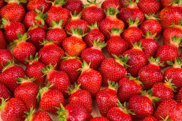 Fresh red ripe strawberries
