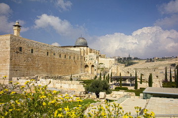 Fototapeta premium Temple Mount in the Old City of Jerusalem, Israel.