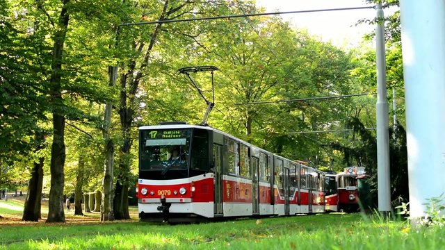 trams wait in depot (station) - park (forest)-people