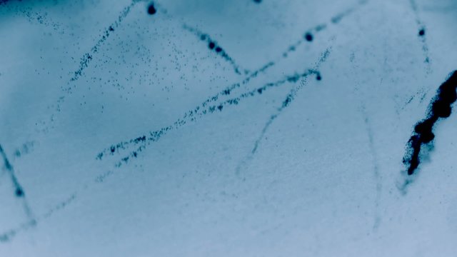 Muster (Radioaktivit&auml;t)