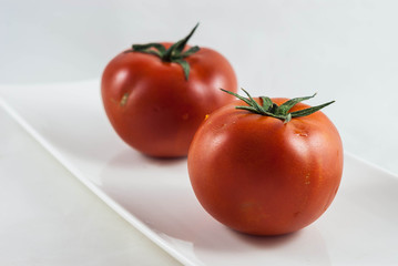 Fresh Tomatoes in White Background