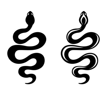 Snakes. Vector black silhouettes.