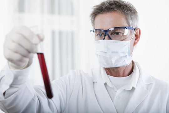 doctor looking on blood test tube