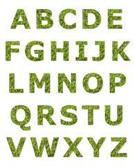 green upper case letter