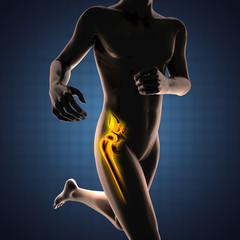 Naklejka premium human radiography scan with glowing bones