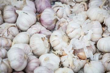 fresh garlic