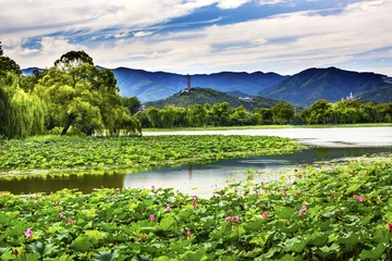 Fototapeten Yue Feng Pagode Lotus Garden Sommerpalast Peking China © Bill Perry