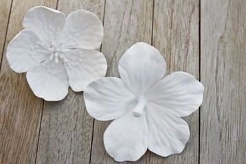 Weiße Porzellanblüten