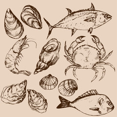 Hand drawn seafood, vector illustration