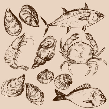 Hand drawn seafood, vector illustration