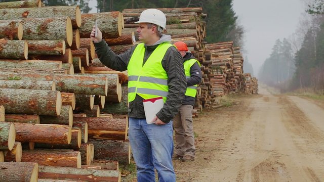 Forest Officers inspect piles of logs