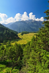 Trentino - Val di Pejo