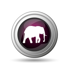 Elephant icon