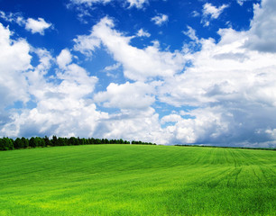 green field