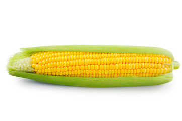 Fresh raw corn on white background. isolated
