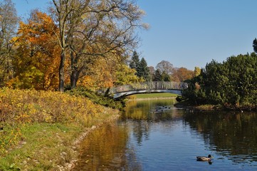 Obraz premium Autumn scenery - bridge in the park - city Lodz
