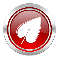 nature icon, leaf symbol
