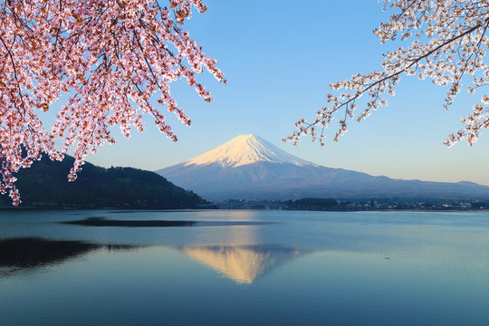 Fototapeta Góra Fuji, widok z jeziora Kawaguchiko