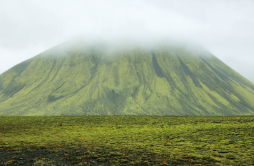 Volcanic landscape covered with moss