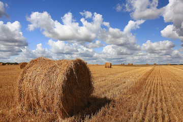 lay hay on field clouds sun
