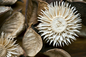 Natural dry flowers decor. Potpourri material closeup