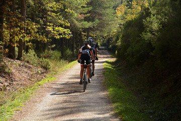ruta ciclista por el bosque