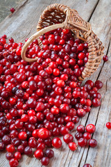 Fresh red cranberries, berries and  basket on old table