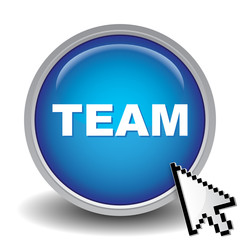 TEAM ICON