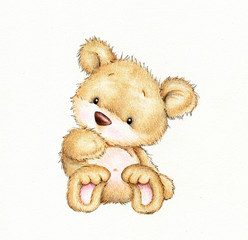 Cute Teddy bear - 72639904