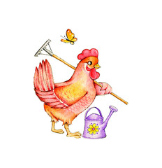 Cute red hen