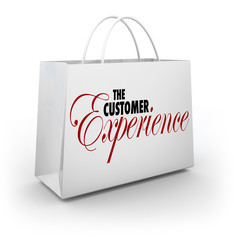 Customer Experience Shopping Bag Words Buyer Shopper Client Sati