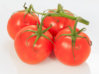 Tomato on white