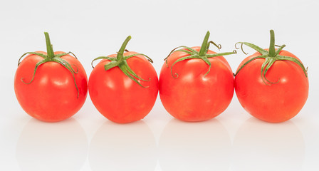 Tomato on white