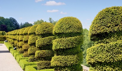 jardin de buis