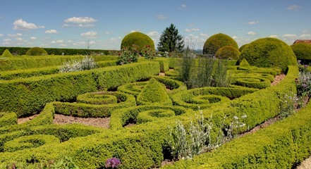 jardin de buis