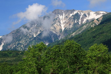 Fototapeta premium Hakubatake widziany z parku przyrody Tsugaike