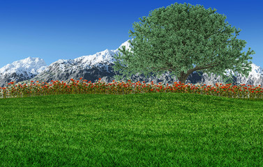 beautiful flowers field with blue sky