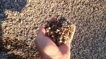 Hand mit Kieselsteinen