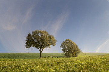 jesień na polu © Mike Mareen