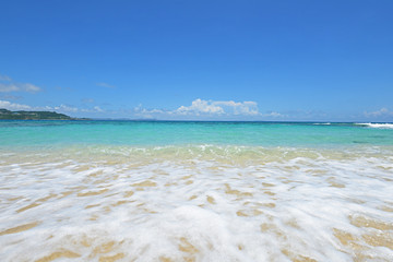 南国の美しいビーチと紺碧の空