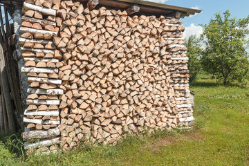 Stack of birch firewood at an outdoor site