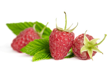 Three sweet ripe raspberries isolated on white background